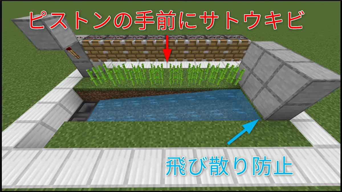 サトウキビを植えて飛び散り防止をしたら完成