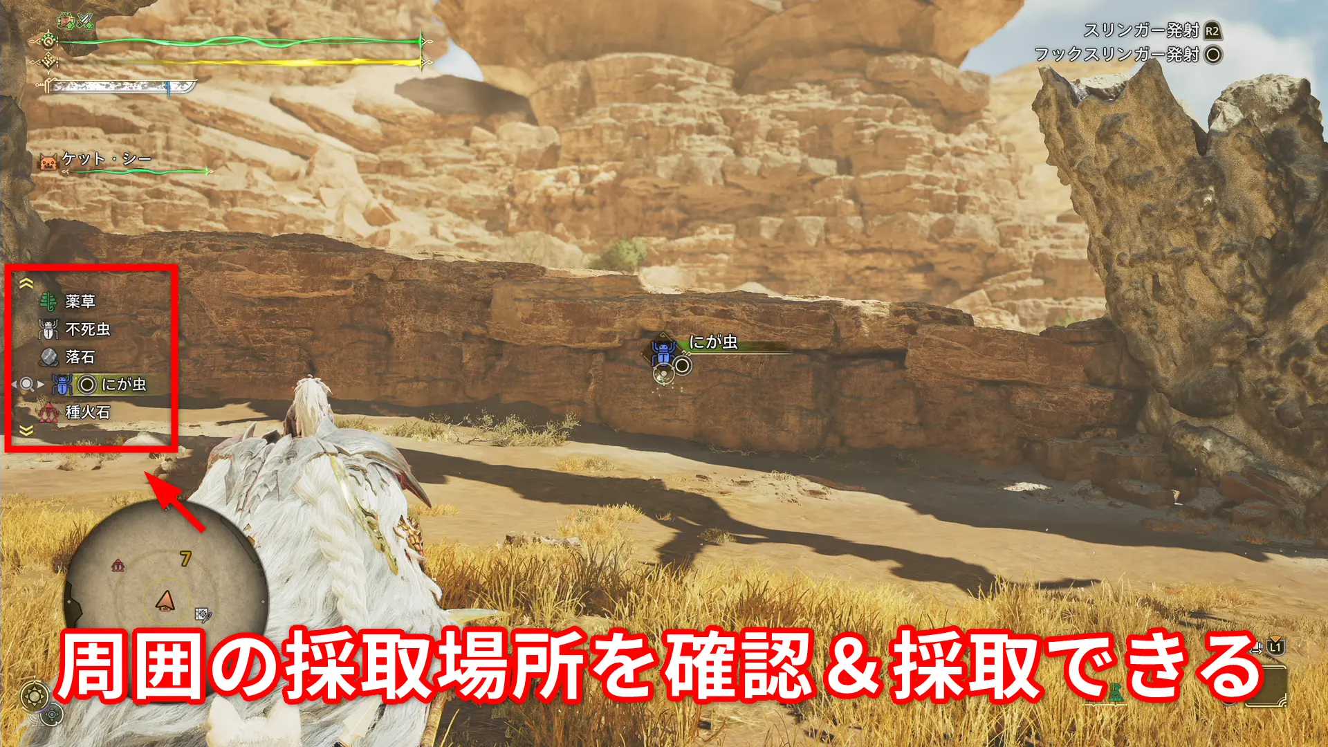 モンハンワイルズ 周囲の採取ポイントを確認＆採取する方法