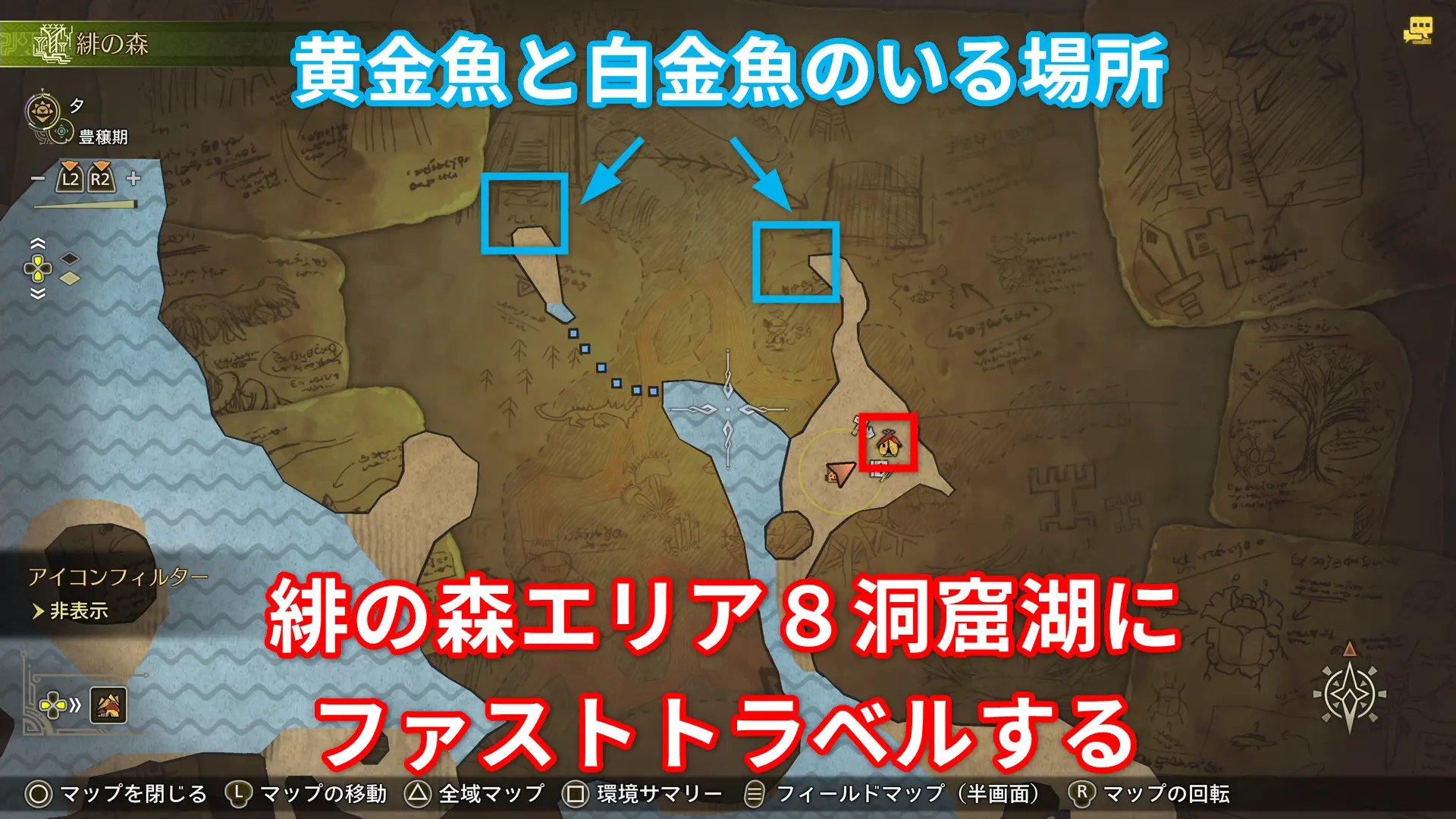 モンハンワイルズ 緋の森エリア８洞窟湖の黄金魚白金魚の居場所